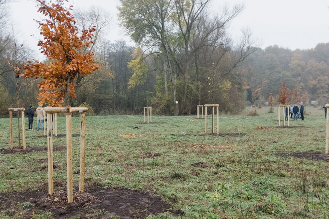 20211113_Lebensereigniswald_Pflanzung_09