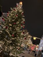 20231130_Weihnachtsbeleuchtung (12) 20231130_Weihnachtsbeleuchtung (12)