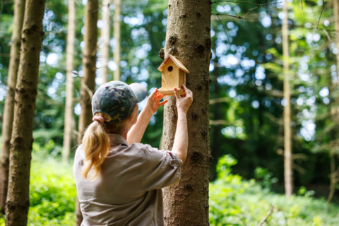 Umweltpreis Symbolbild