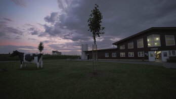 Höfe_Still (34)