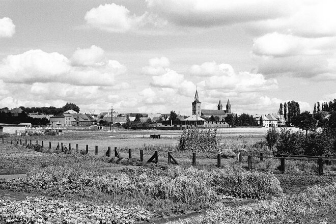 Stadtgeschichte Lohne 1955