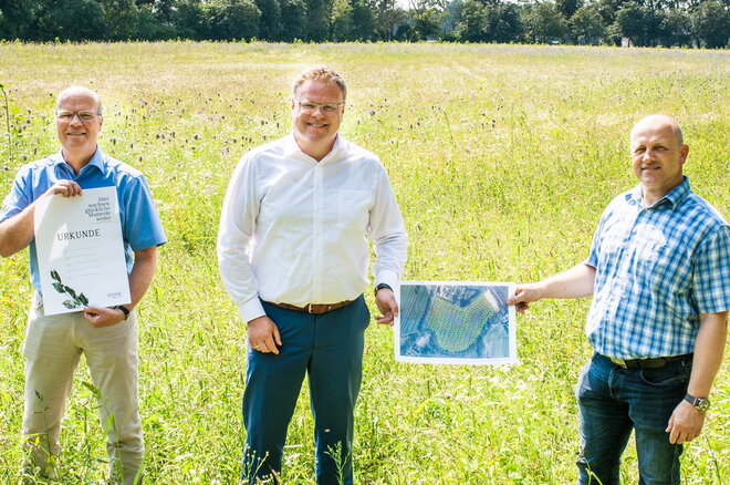 Vorstellung des Waldes der schönen Erinnerungen
